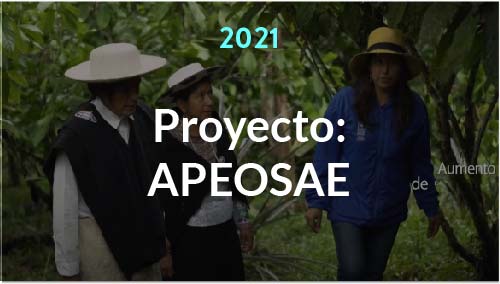 APEOSAE