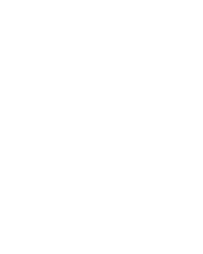 logo icsn