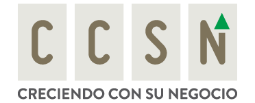 logo ccsn